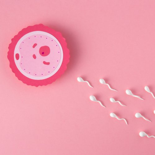 What is IUI (Intrauterine Insemination)? A Simple Guide to the Procedure